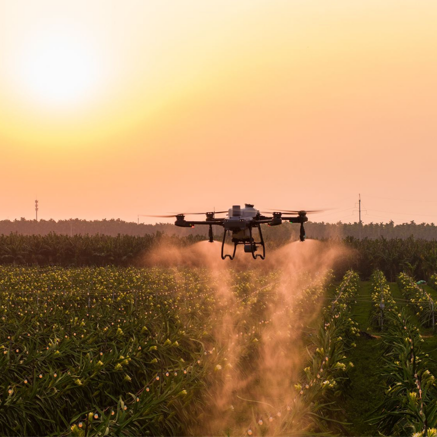 Unveiling DJI's Agras T25 and T50: DJI's Latest Agricultural Drones