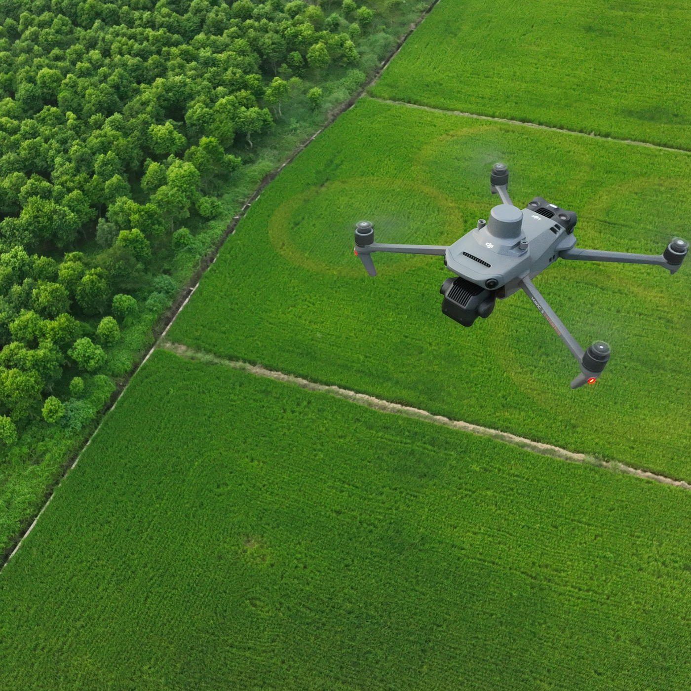 How Drones are Revolutionising Forestry Management