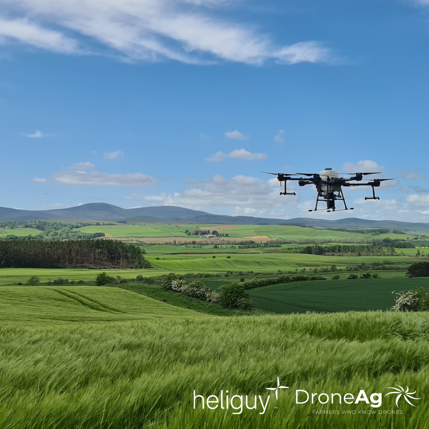 Heliguy partners with Drone Ag to offer crop scouting app and DJI Agras drone spraying training