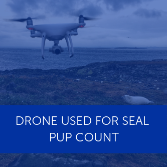 Drone used to count seal pups for first time