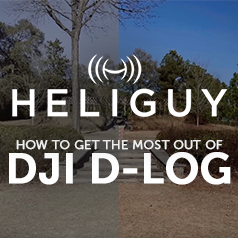 Heliguy's Guide to DJI D-LOG