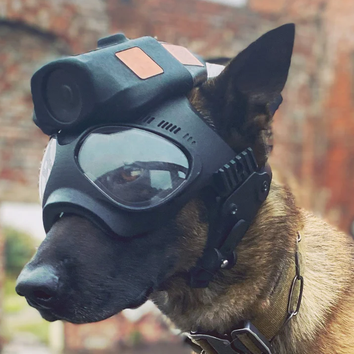 heliguy™ Tactical Dog Camera