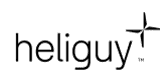 Heliguy logo
